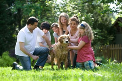 Family photographs