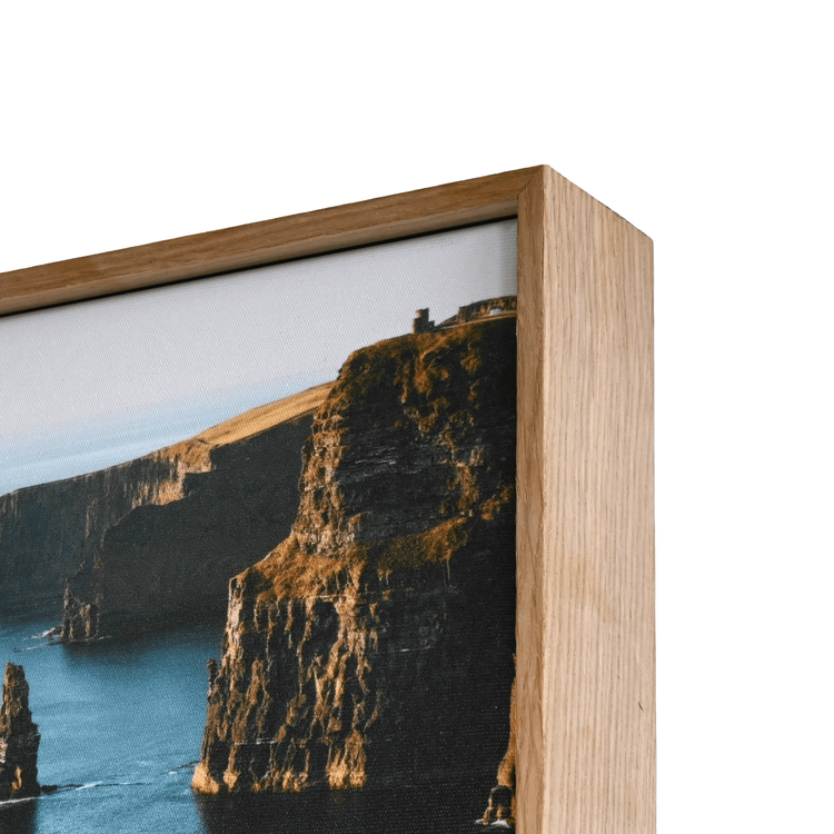 Gola Ash frame