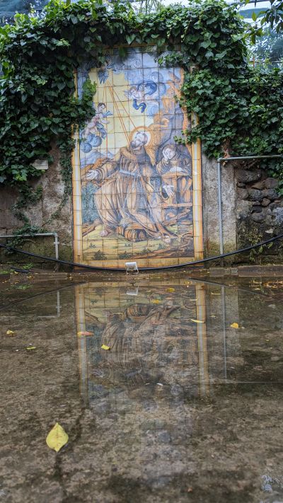 Spring mountain trail