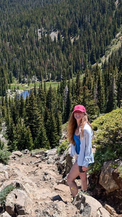 Summer mountain view