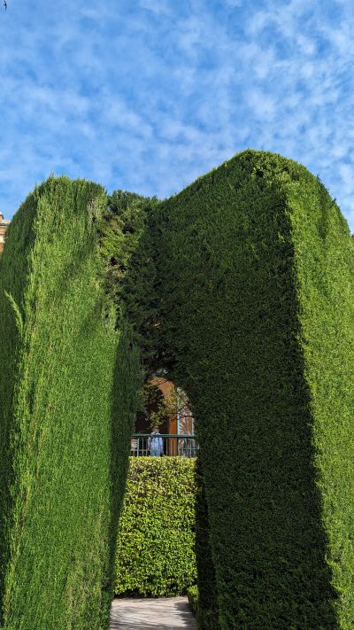 Scenic mountain landscape