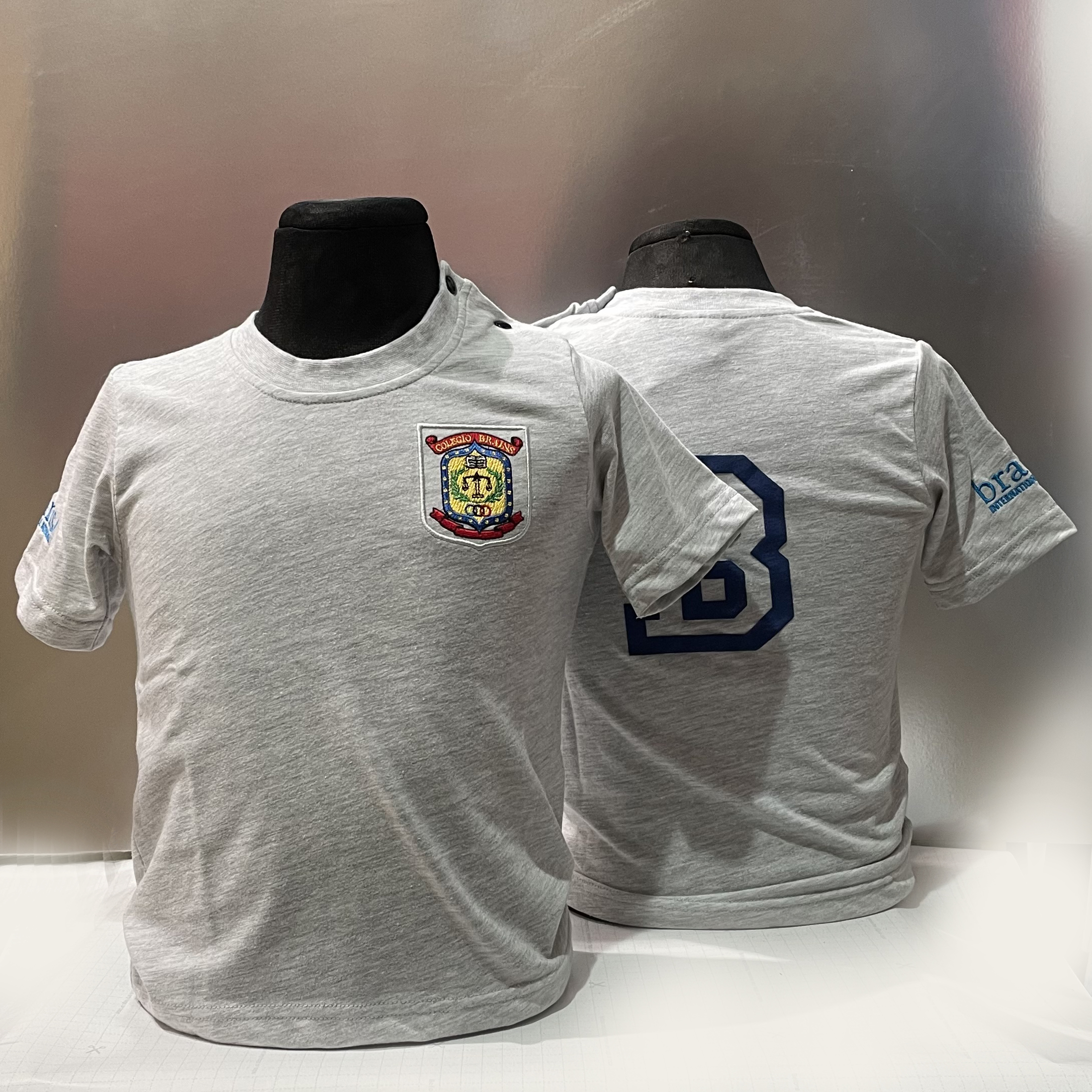 Camiseta Brains Internacional Gris