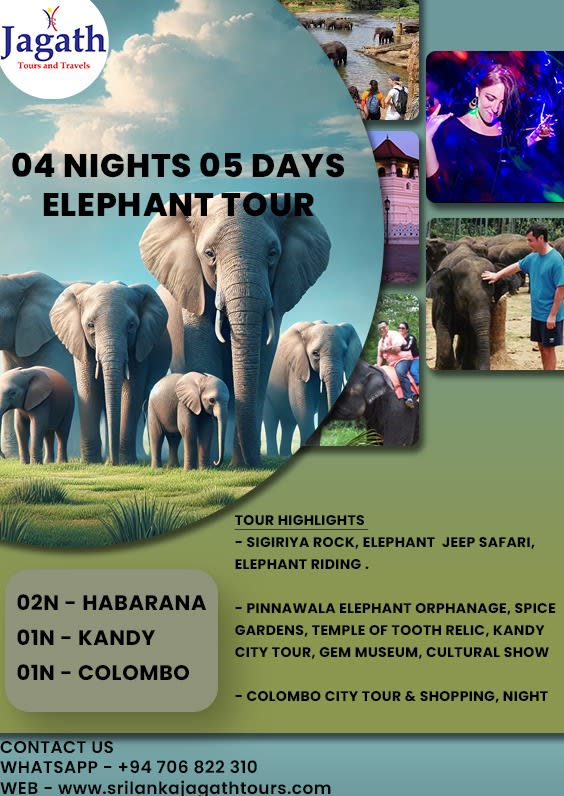 Elephant Adventure Tour