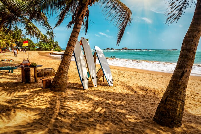 Essential Travel Tips for Exploring Arugam Bay