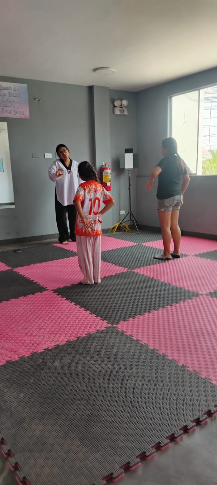 Clase de karate - Movimientos precisos