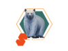 Swintt