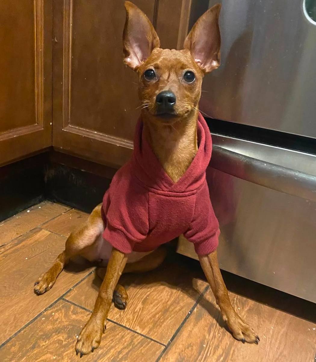 Copper