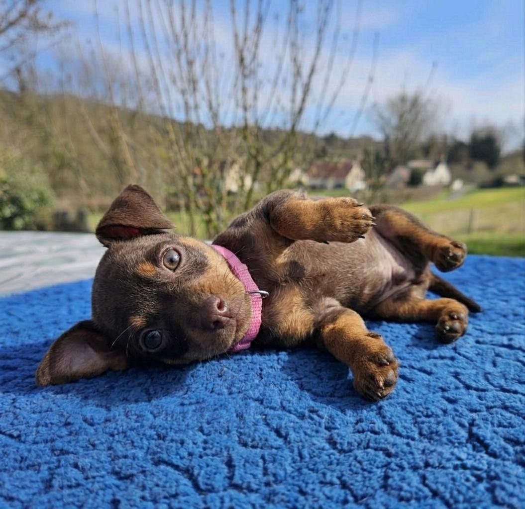 Rusty