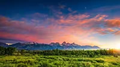 Wyoming Forest Lost 60% of Its Canopy During Ancient Warming, Took 100,000 Years to Recover