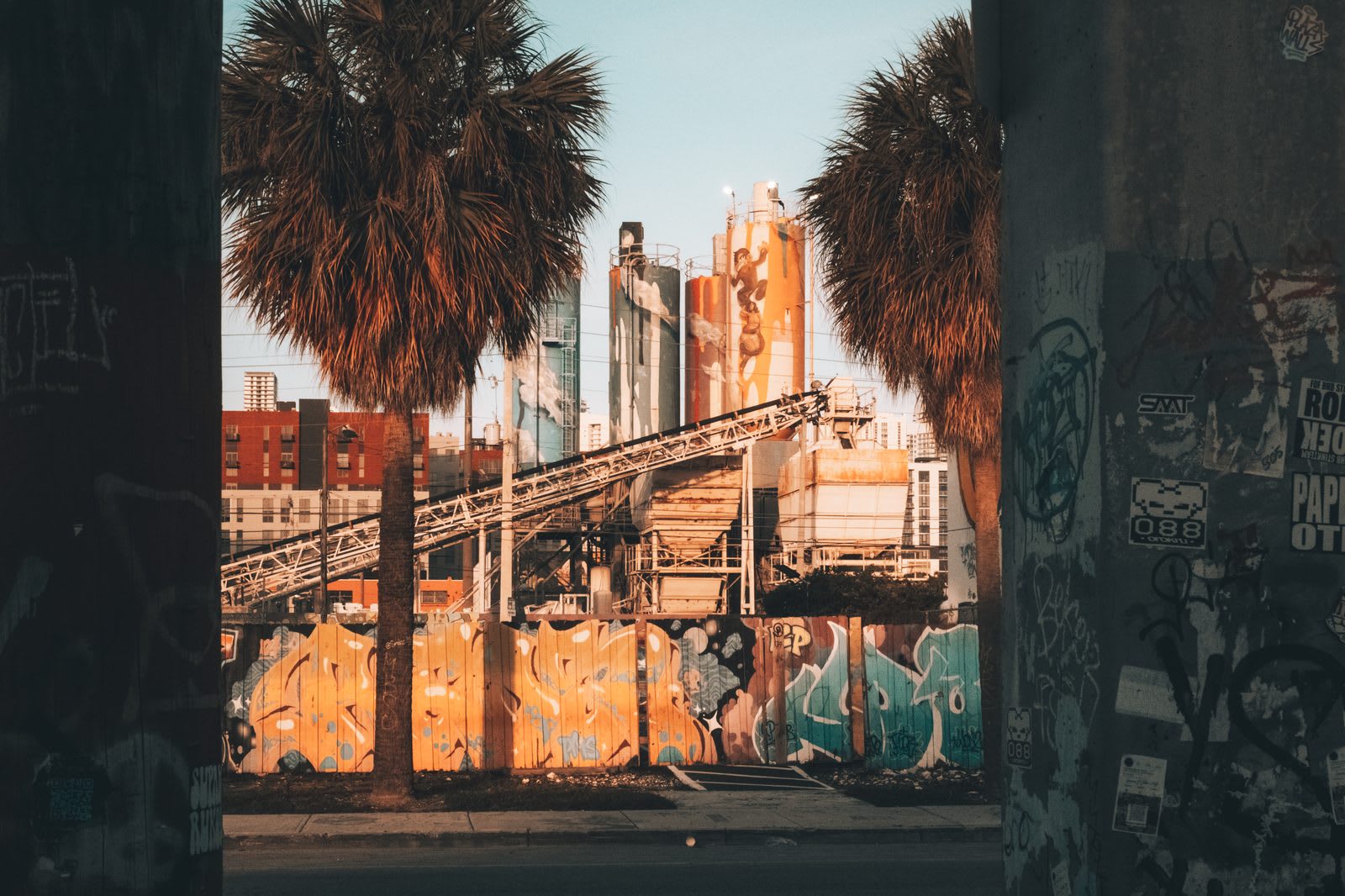 Wynwood — frame 02