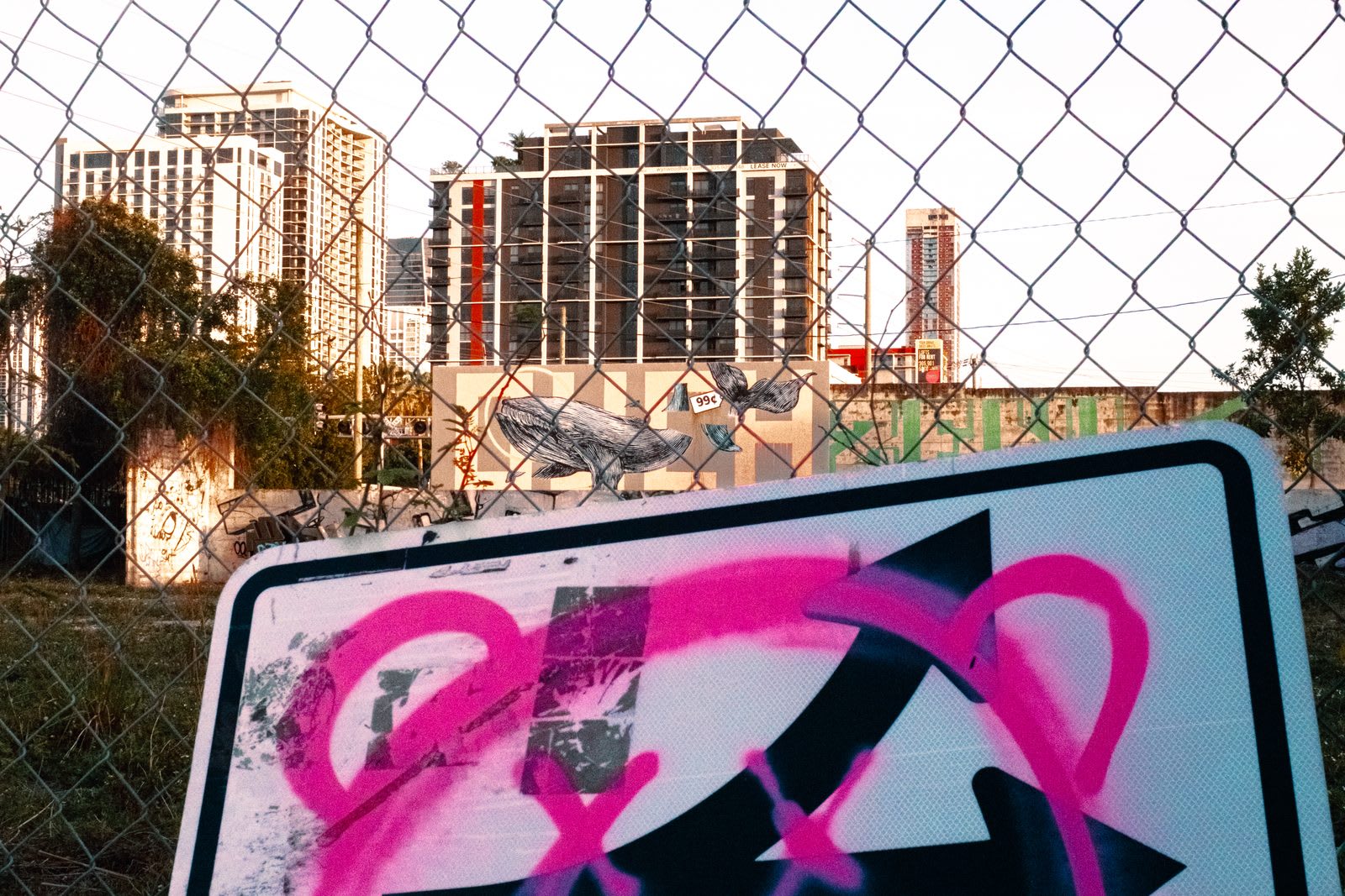 Wynwood — frame 04
