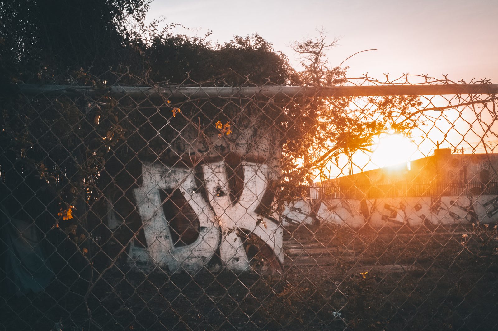 Wynwood — frame 05