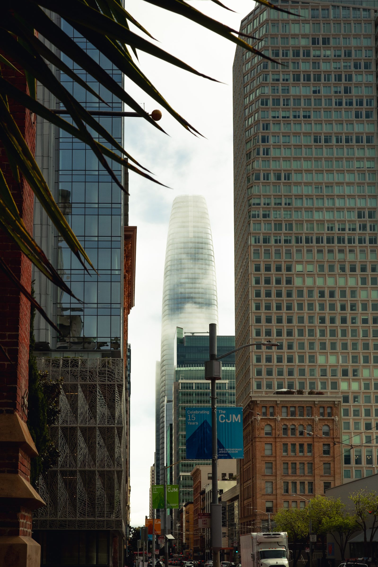 Salesforce Tower half-swallowed by fog, framed by a palm frond and surrounding glass towers.