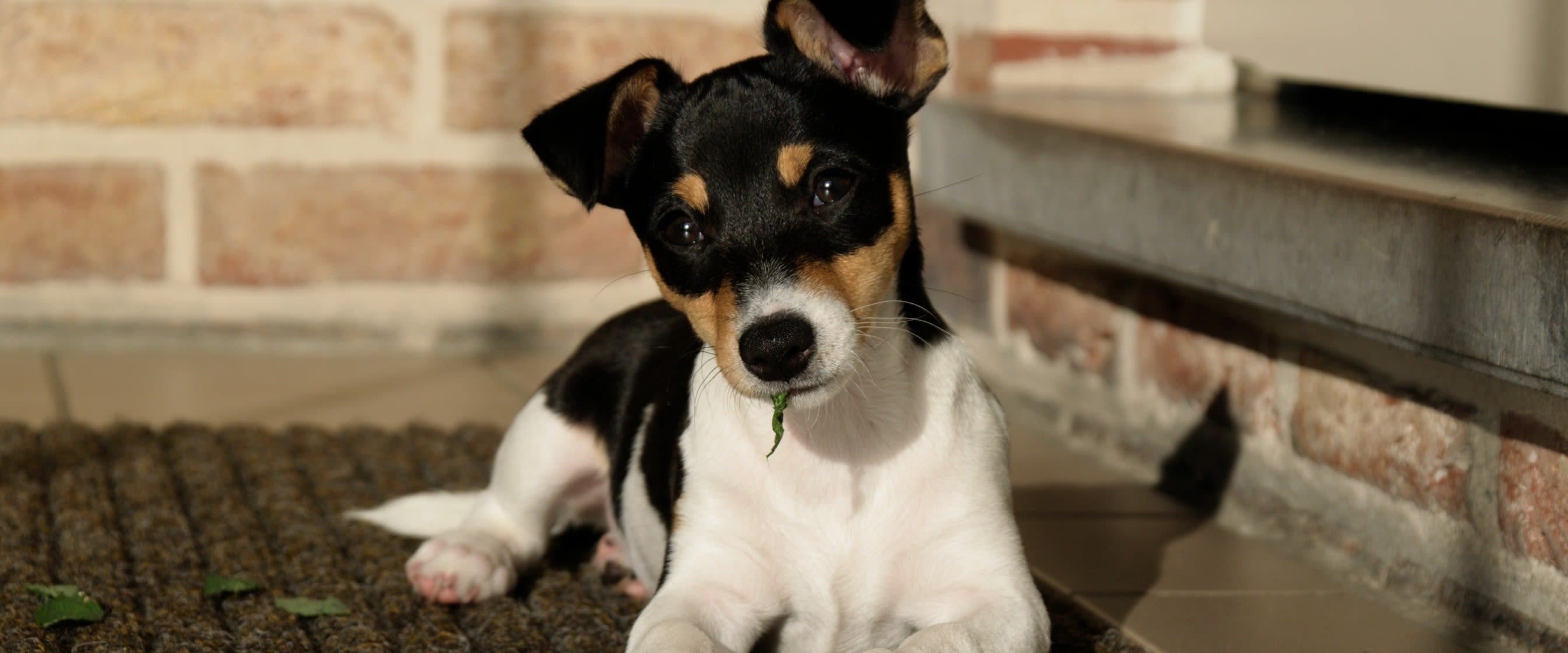 Our Story Banner Image