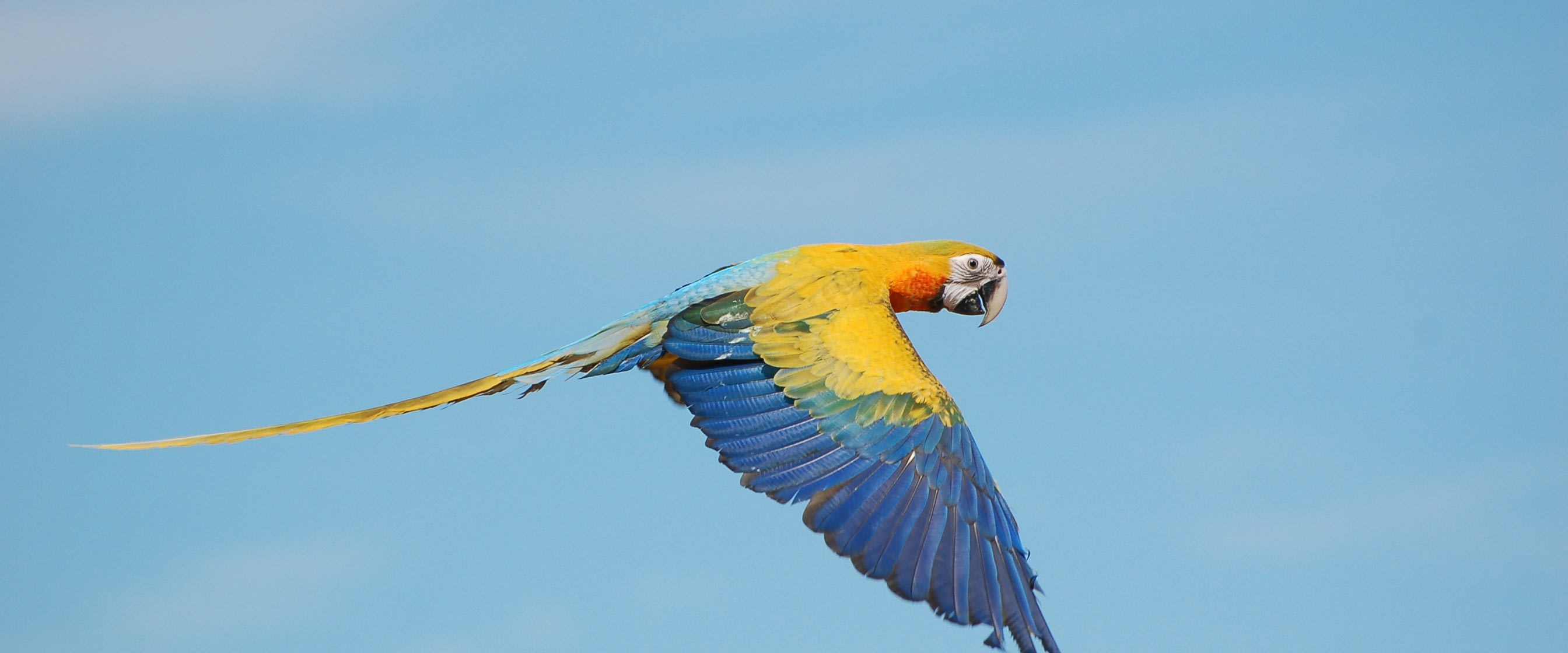 Our Vision Banner Image