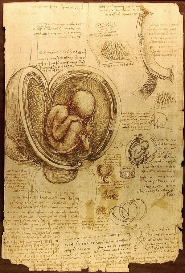 Leonardo da Vinci: Biografia e Obra: Análise das Obras Imortais e Legado para a Humanidade