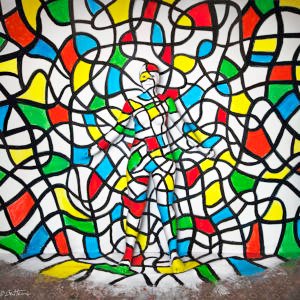 Flesh and Acrylic - Sandra Rassios (2014)