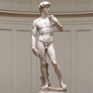 David - Vida y Obra de Michelangelo Buonarroti