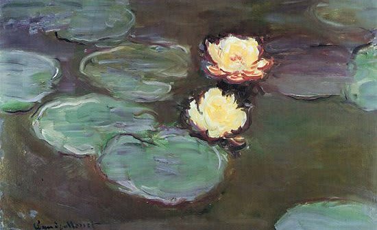 Nenúfares - detalle - Claude Monet - 1916