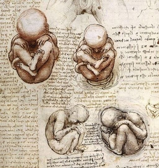 Leonardo da Vinci: Biografia e Obra