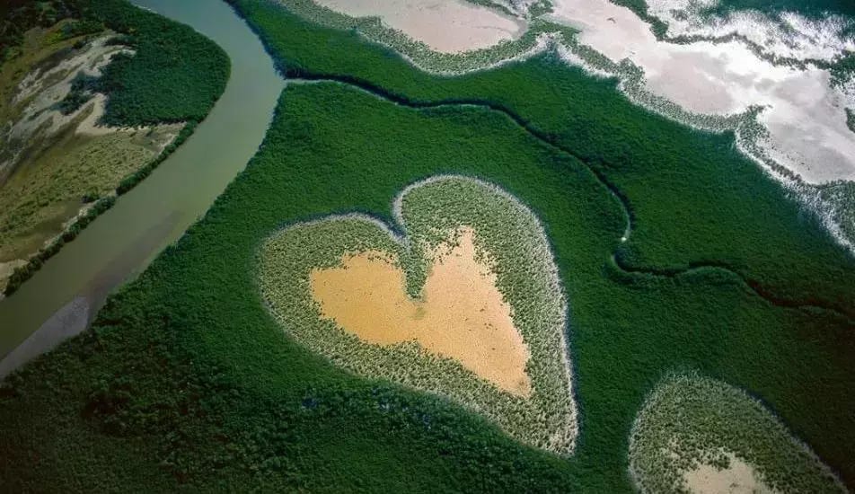 El corazón - Día Mundial de la Fotografía