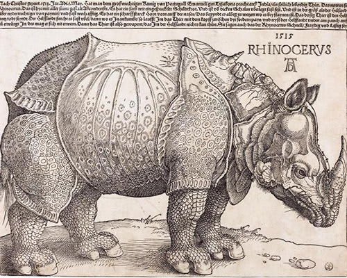 Xilografía 'El Rinoceronte' de Albrecht Dürer, mostrando una interpretación detallada de un rinoceronte indio.