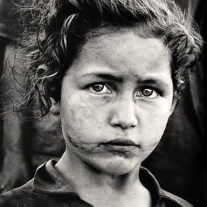 Sebastião Salgado - Projeto Terra