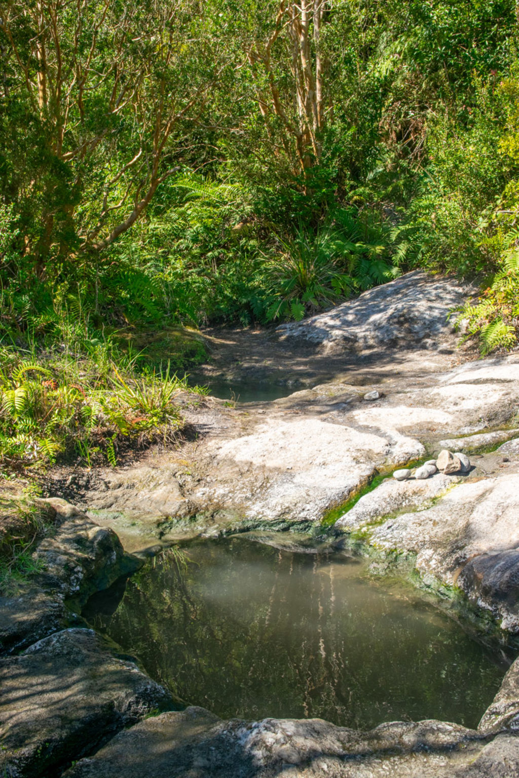 Pozones de las Termas de Cahuelmó