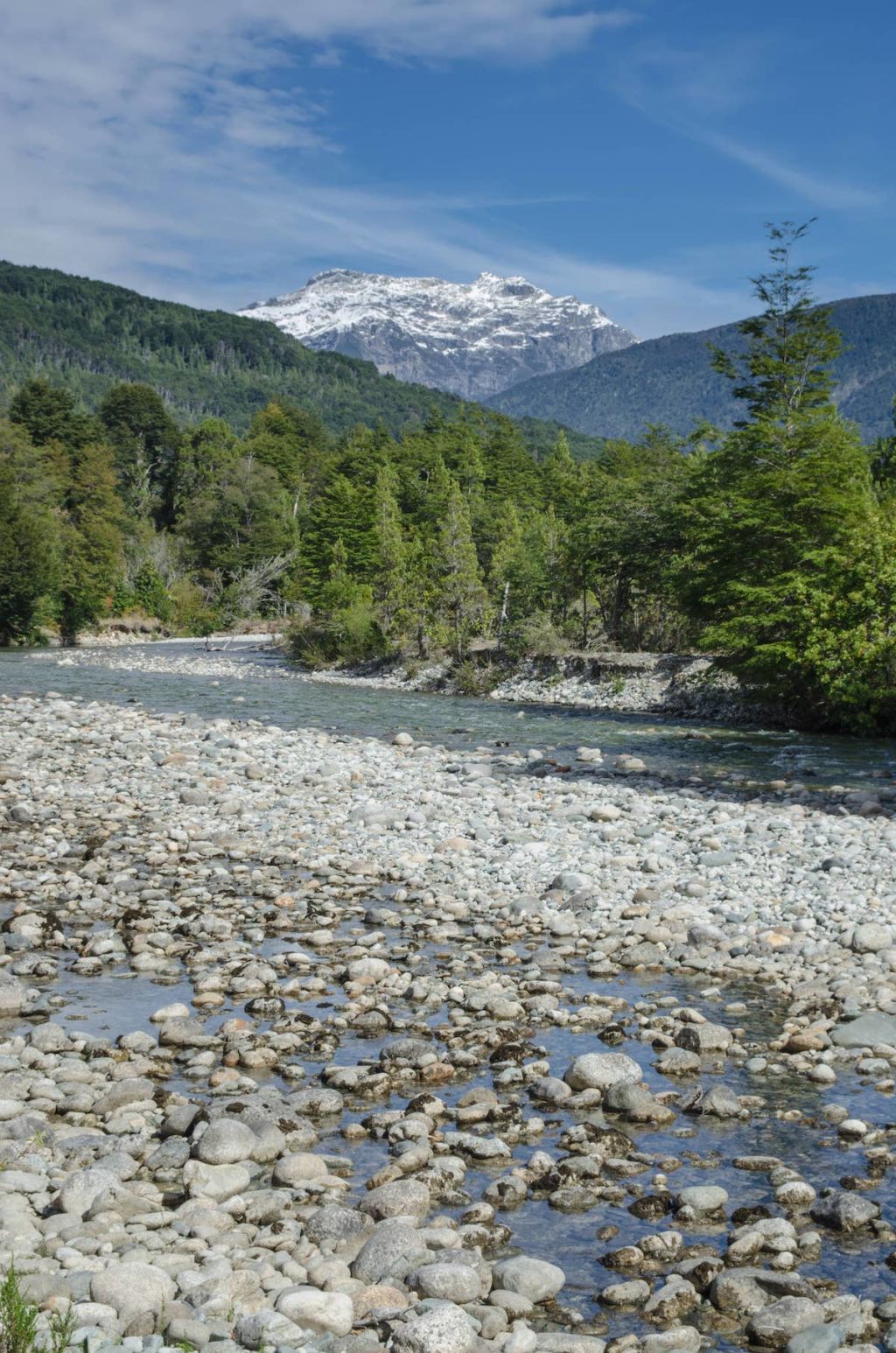 Arroyo Barrancas