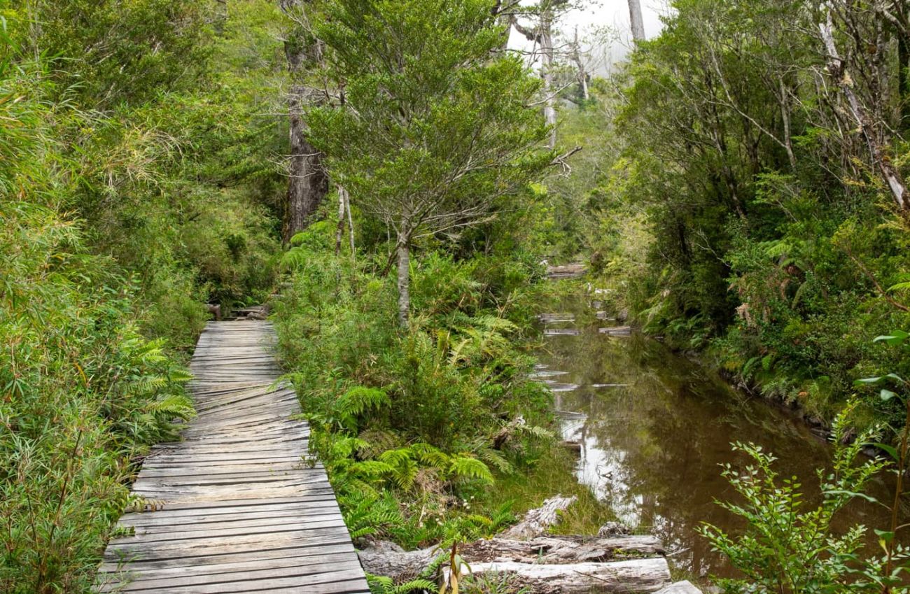 Sector de las pasarelas
