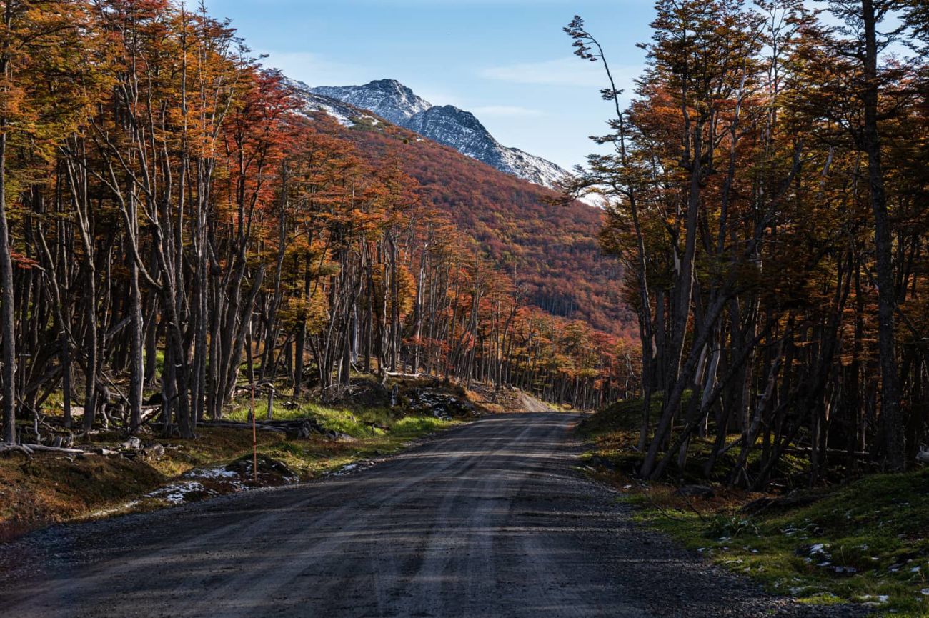Colores del otoño en la cuesta del Fagnano