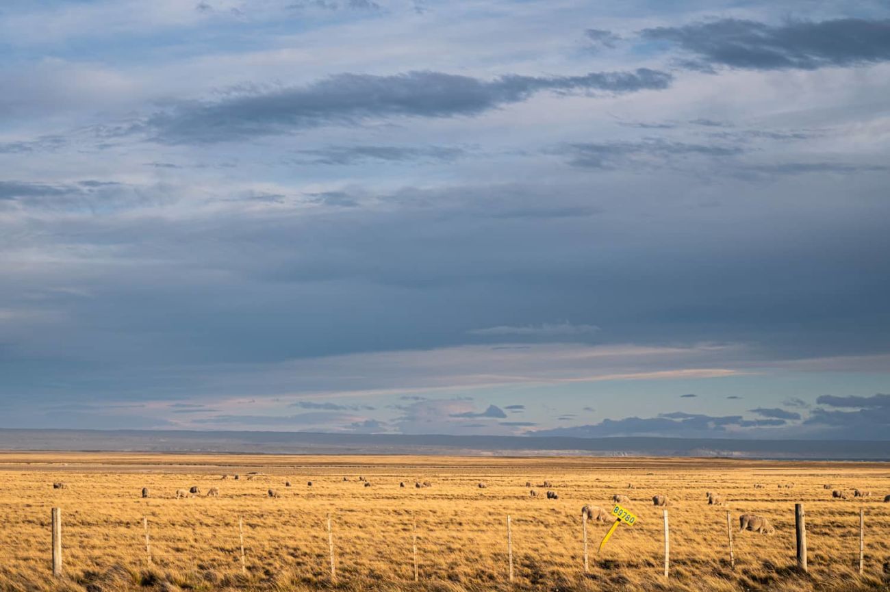 La pampa del norte de la isla de camino a Porvenir