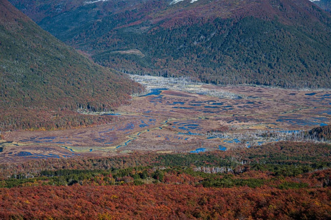 Turberas del valle del lago Deseado