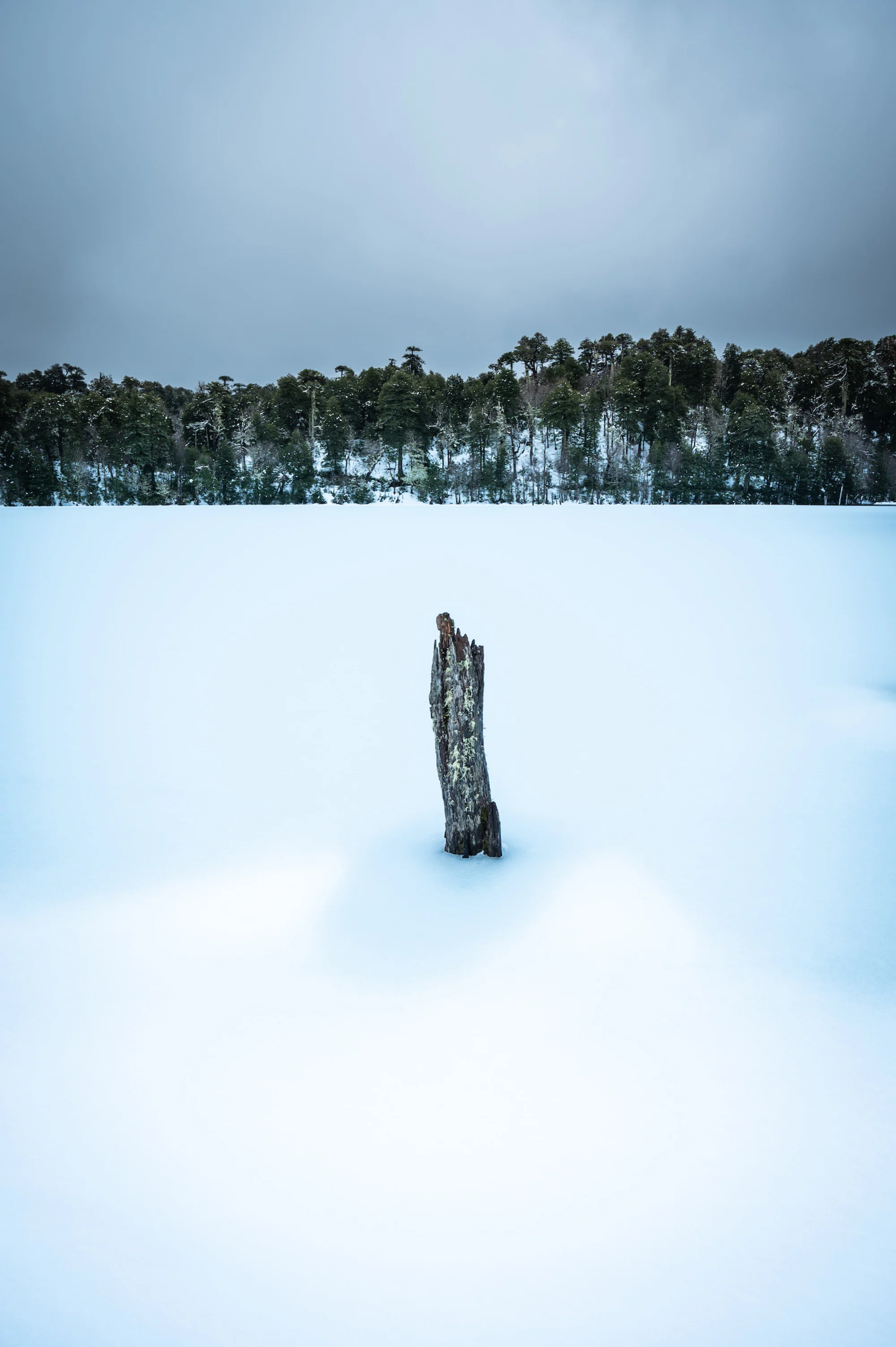 Laguna captren congelada