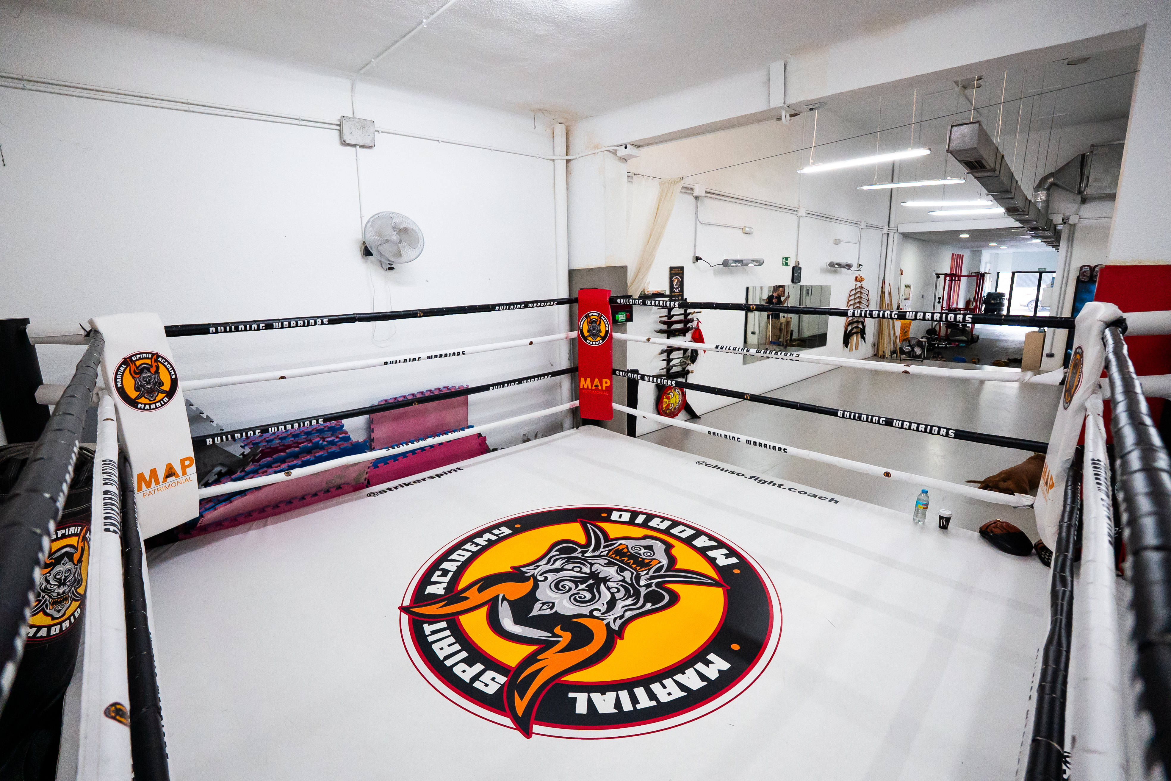 Ring de boxeo MartialSpirit Las Ventas