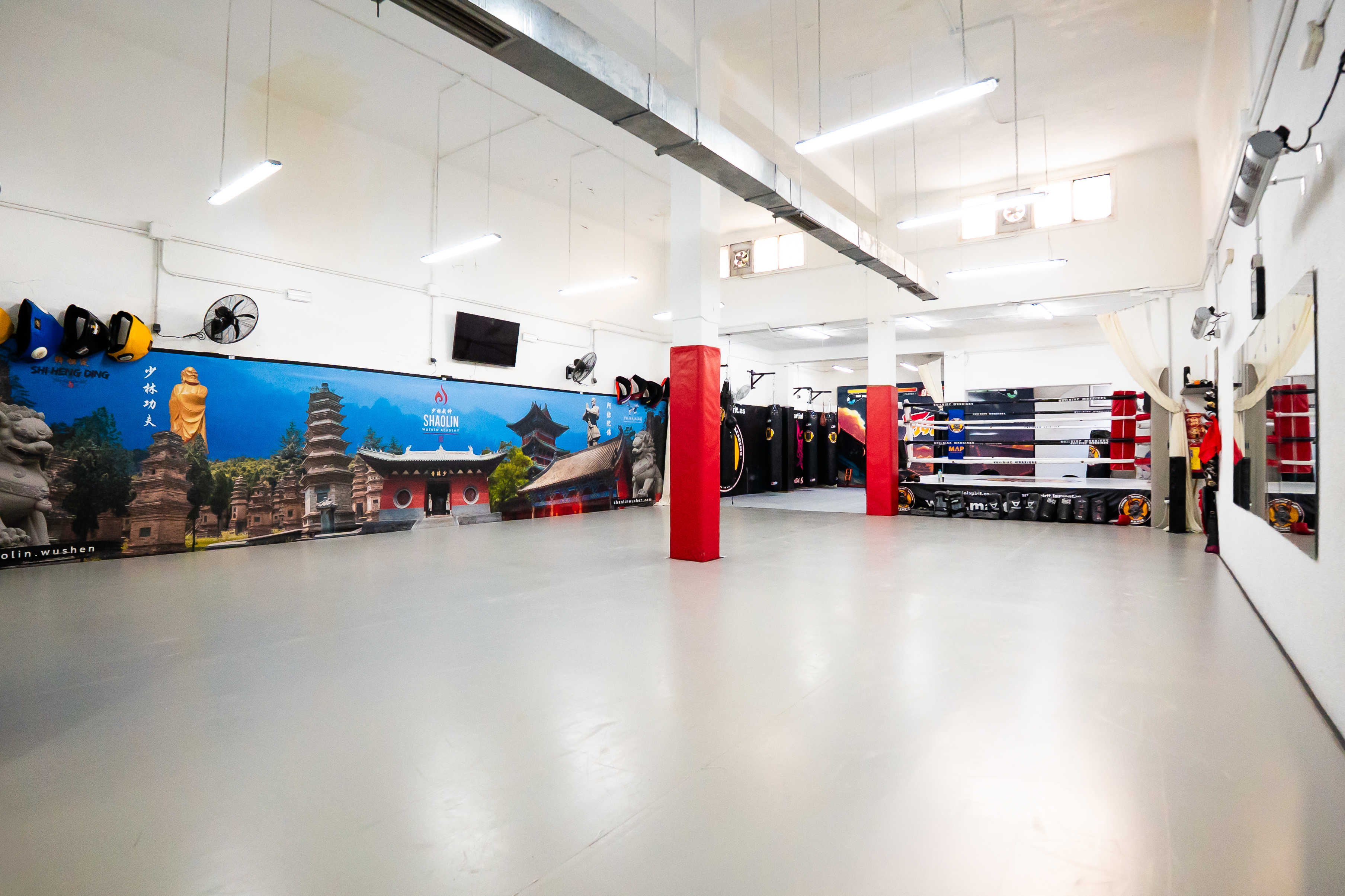 Instalaciones MartialSpirit Las Ventas