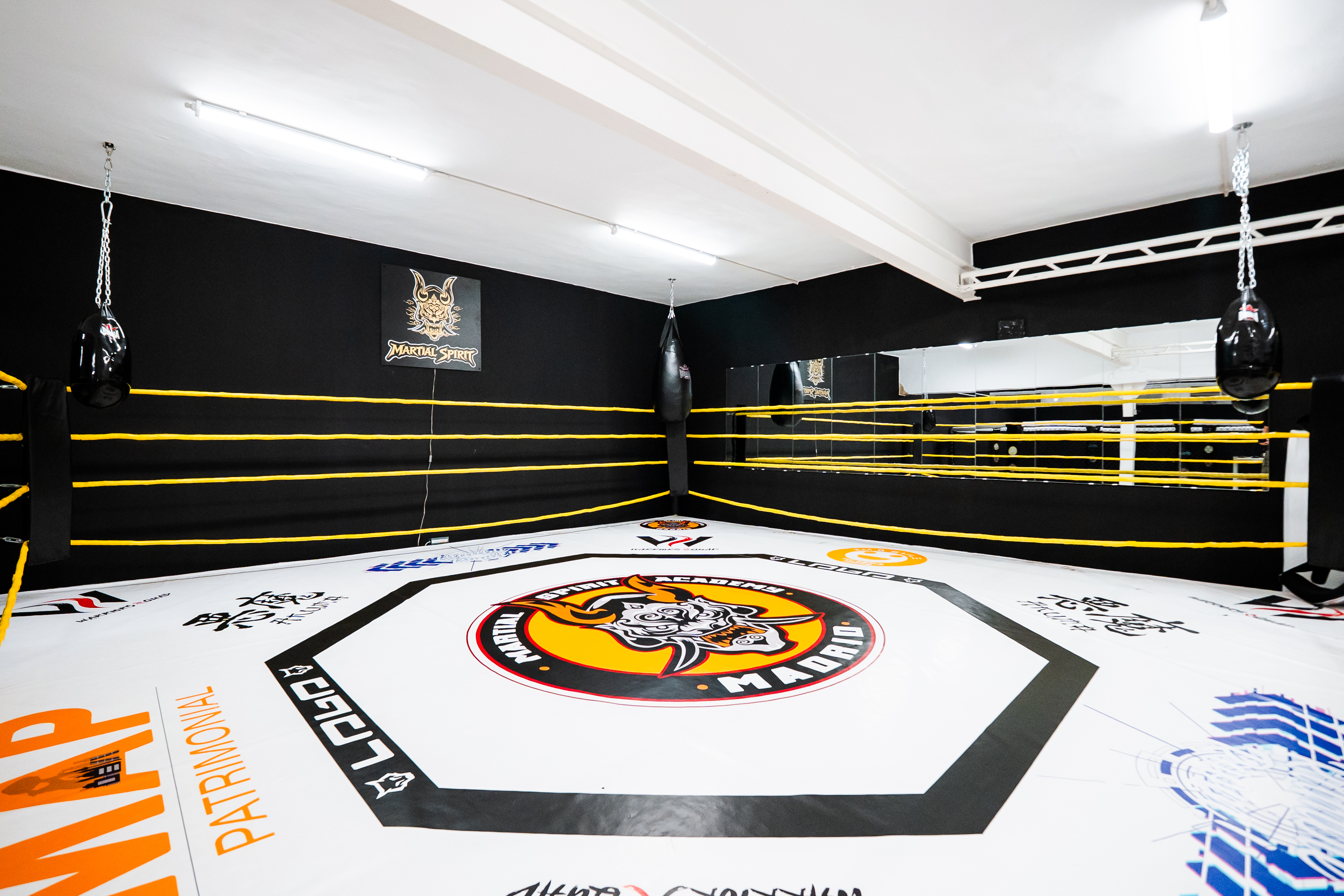 Ring de boxeo MartialSpirit CAR