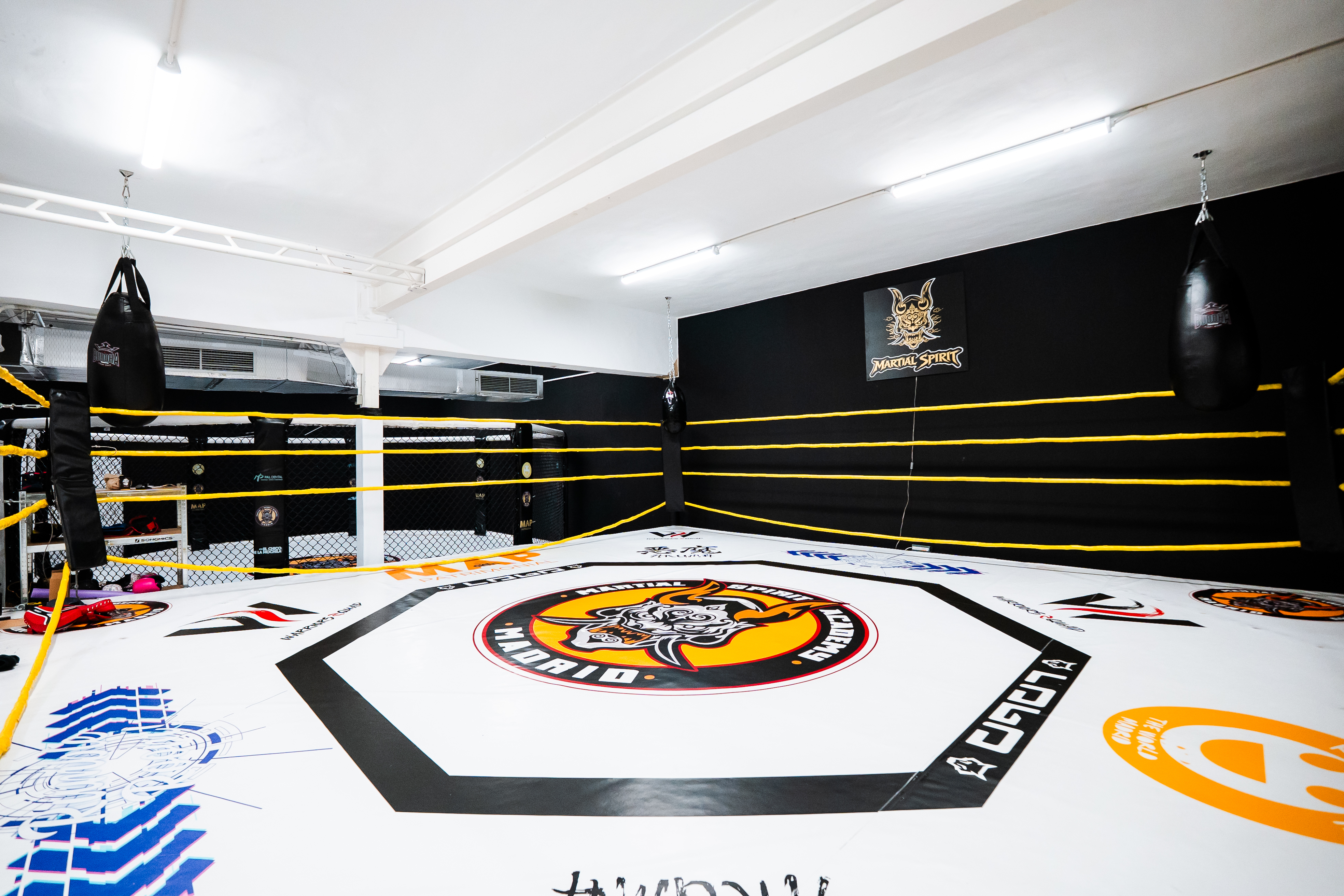 Ring de boxeo MartialSpirit CAR