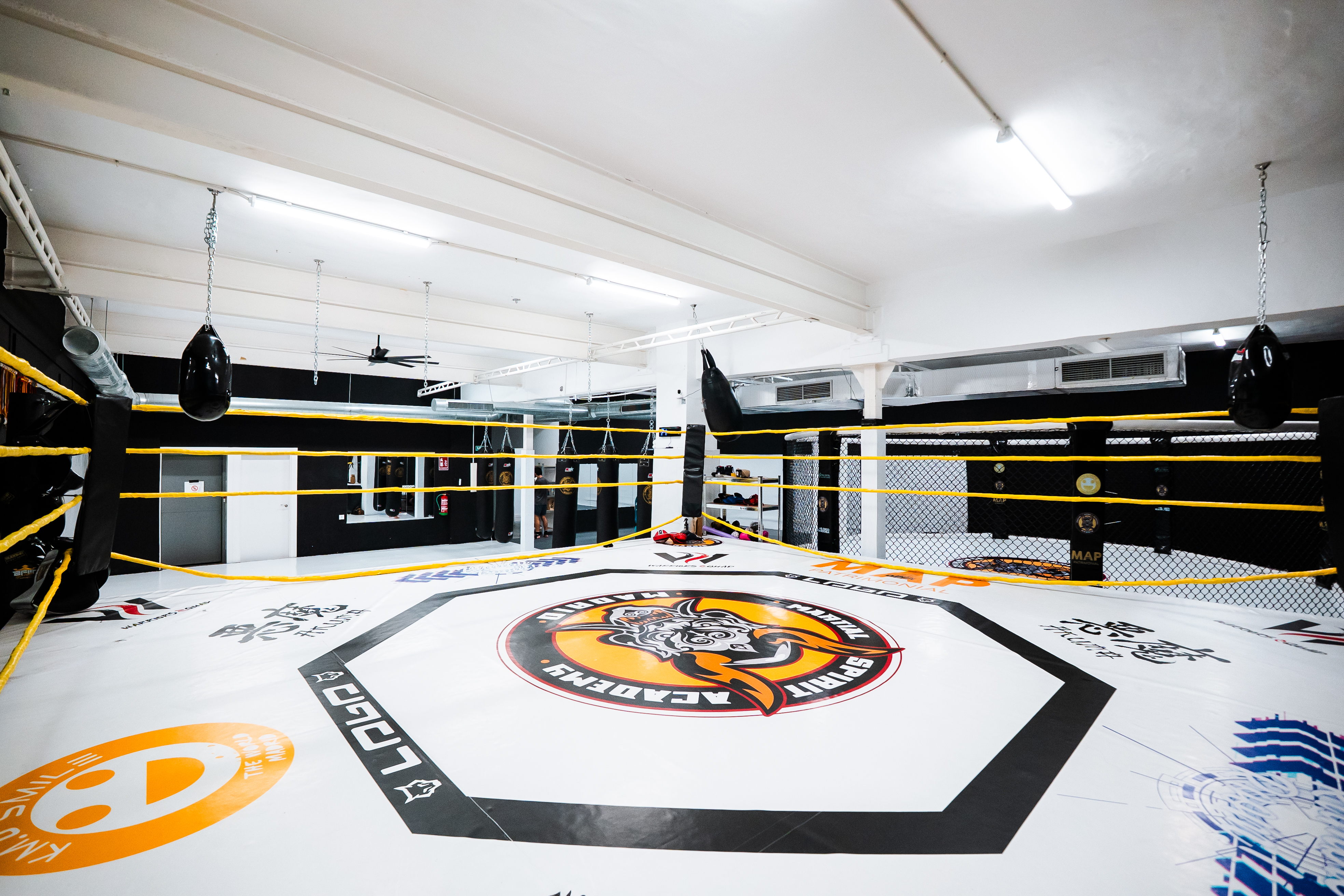 Ring de boxeo MartialSpirit CAR