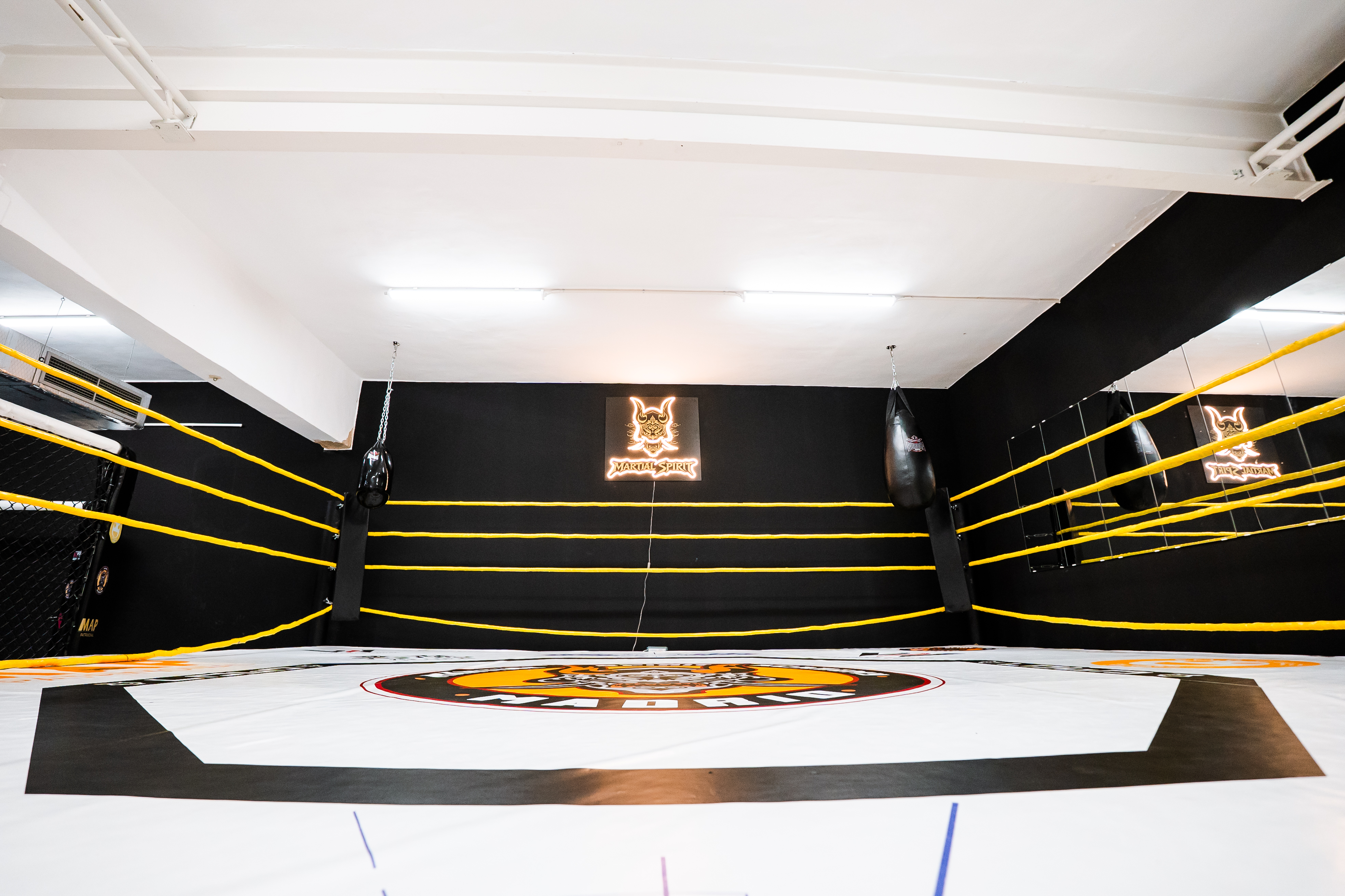 Ring de boxeo MartialSpirit CAR
