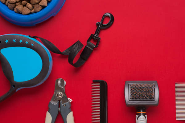 برند پیشرو در طراحی و تولید لوازم باکیفیت برای حیوانات خانگی