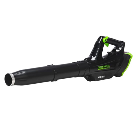 Greenworks Leaf Blower