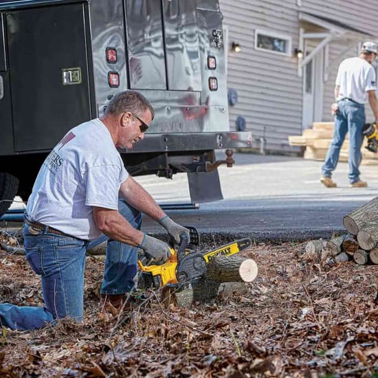 DeWalt 20V Max XR Compact 12 inch Cordless Chainsaw