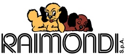 Raimondi USA Logo