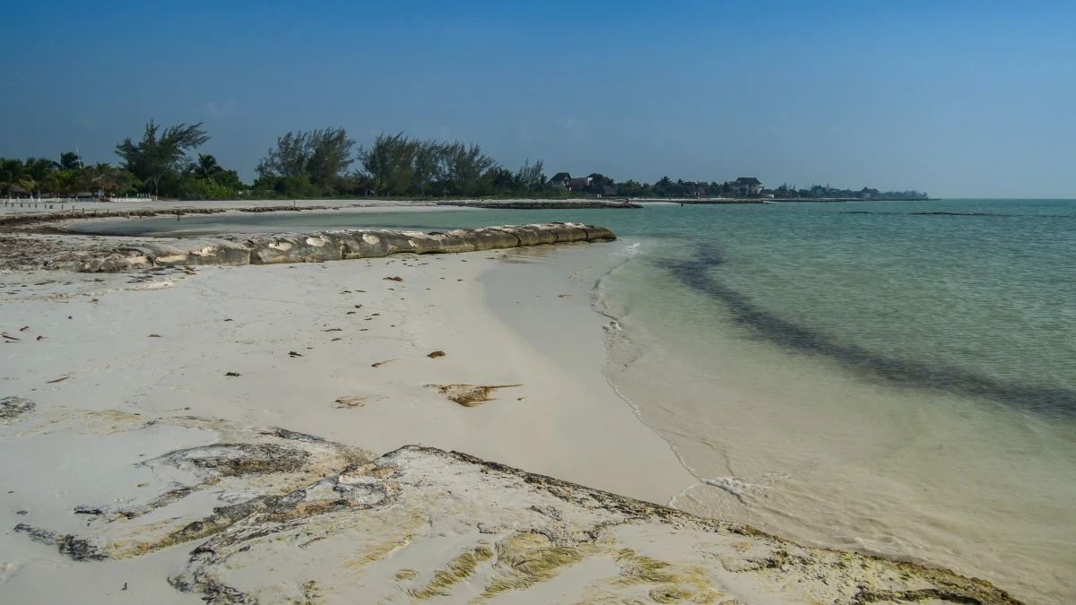 Beach on Isla Holbox, Quintana Roo