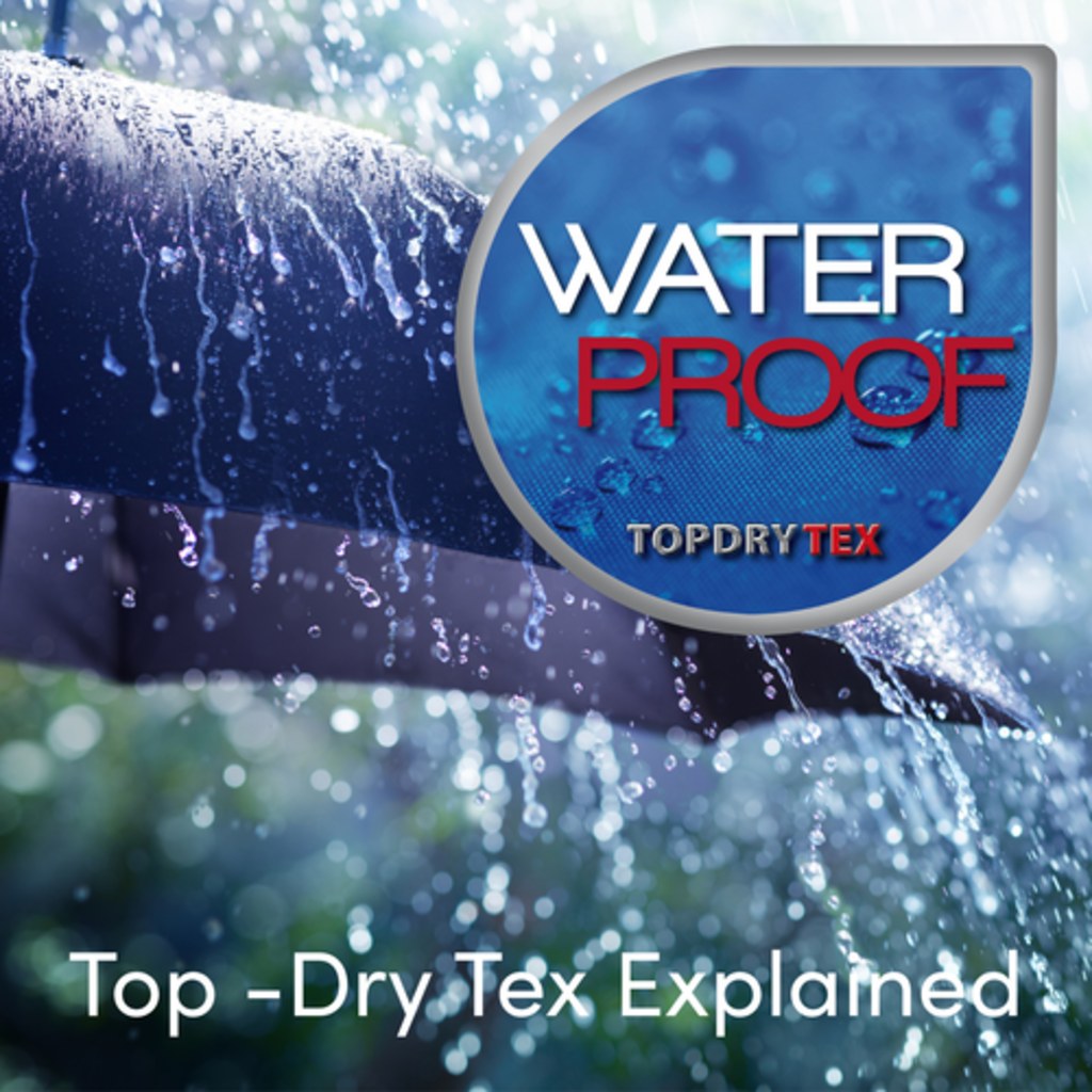 DISCOVER OUR LATEST BLOGS