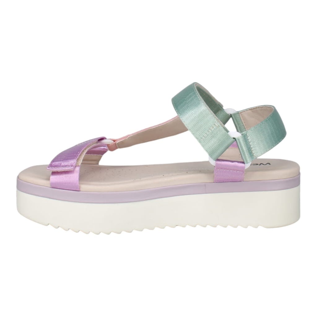 Multi - Purple Combi