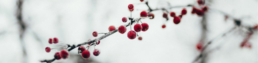 Footwear for winter strolls