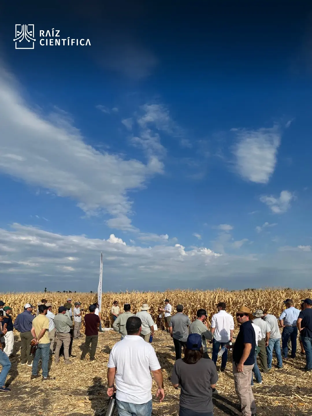 Jornada a Campo organizada por Vértico