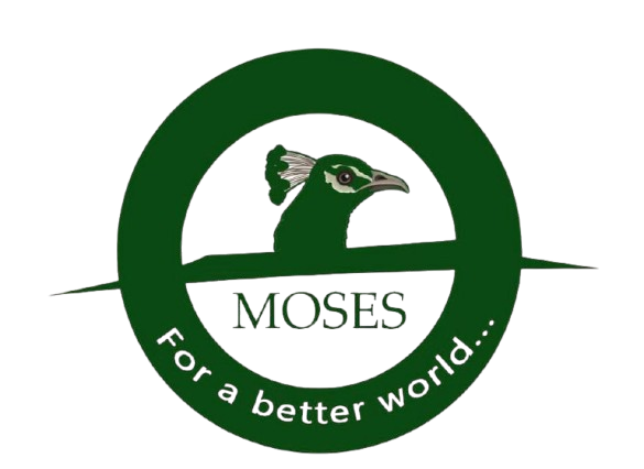Moses Transport Limited